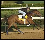 Steve Haskin's Derby Report (4/24): Happy Holiday Steve Haskin's Derby Report (4/24): Happy Holiday