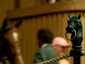 Keeneland September Sale: Record Catalog Keeneland September Sale: Record Catalog