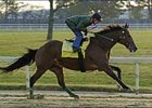 Perfect Drift Leads Contentious Californian Perfect Drift Leads Contentious Californian