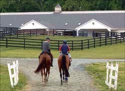 Barbaro Happy to be Back Home Barbaro Happy to be Back Home
