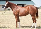 F-T Texas Yearling Sale Holds Steady F-T Texas Yearling Sale Holds Steady