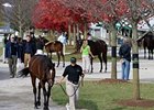 Artie Schiller Filly Paces Keeneland Sale Artie Schiller Filly Paces Keeneland Sale