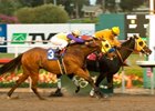 Kinsale King courageously held off Delta Storm by a neck in the Vernon O. Underwood Stakes at Hollywood Park.<br><a target="blank" href="http://www.bloodhorse.com/horse-racing/photo-store?ref=http%3A%2F%2Fpictopia.com%2Fperl%2Fgal%3Fprovider_id%3D368%26ptp_photo_id%3D8677044%26ref%3Dstory">Order This Photo</a>