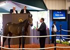 Empire Maker Colt Brings $800,000 at F-T Sale Empire Maker Colt Brings $800,000 at F-T Sale
