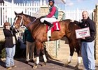Trainer Lake Gets Win No. 5,000 at Laurel Trainer Lake Gets Win No. 5,000 at Laurel