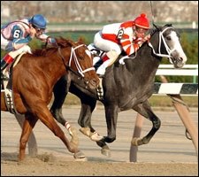 Unbeaten Rockport Bags 'Grocer in Remsen Unbeaten Rockport Bags 'Grocer in Remsen