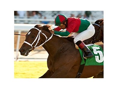 Jeranimo outfinishes Mr. Commons to win the Oak Tree Mile at Santa Anita.