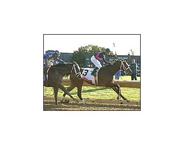 Madcap Escapade was a front-running winner of the Ashland Stakes.