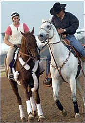 Funny Cide, Pleasantly Perfect, Birdstone Early Classic Favorites Funny Cide, Pleasantly Perfect, Birdstone Early Classic Favorites