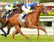 Megahertz Zaps Her Santa Barbara Foes Megahertz Zaps Her Santa Barbara Foes