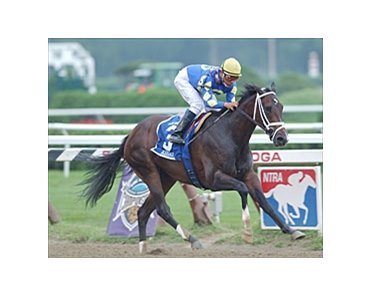 Ashado grabs second win of Saratoga meet with victory in the Spinaway.