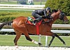 Keeneland's two-year-old in training will be held April 6-7, 2009.