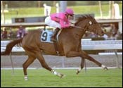 Santa Anita Race Report (Cont.) Santa Anita Race Report (Cont.)