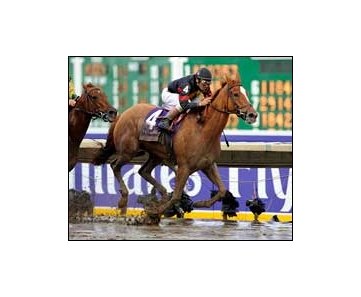 Ginger Punch fights off Hystericalady to win the Breeders' Cup Distaff.<br><a target="blank" href="http://www.bloodhorse.com/horse-racing/photo-store?ref=http%3A%2F%2Fpictopia.com%2Fperl%2Fgal%3Fprovider_id%3D368%26ptp_photo_id%3D2626985%26ref%3Dstory">Order This Photo</a>