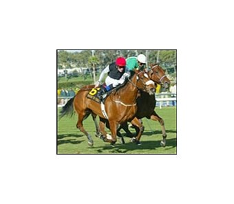 Dress to Thrill (6) defeats Golden Apples in the Matriarch.
