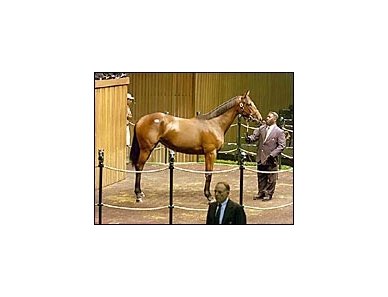 Gone West filly, topped Tuesday's Keeneland sale session.