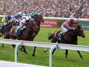 Vision D'Etat Overcomes Injury, Wins HK Cup Vision D'Etat Overcomes Injury, Wins HK Cup