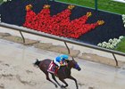 American Pharoah wins the 2015 Preakness
