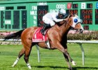 Our Nautique scores upset in San Francisco Mile April 30 at Golden Gate