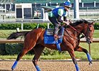 American Pharoah galloped 1 3/16 miles Friday, May 8 at Churchill Downs.