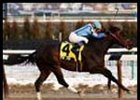 Spin Zone romps to victory in the Fred ``Cappy'' Capossela Stakes.