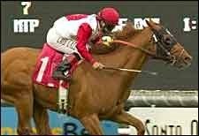 Pure as Gold Gives O'Neill SA Training Title Pure as Gold Gives O'Neill SA Training Title