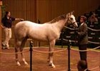 Unbridled's Song colt is session three co-topper at $900,000.