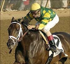 Vicarage Crushes Field in Perryville Stakes Vicarage Crushes Field in Perryville Stakes