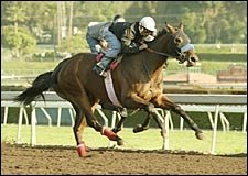 Sweet Catomine, Other Wygod Horses Sent to Trainer Shirreffs Sweet Catomine, Other Wygod Horses Sent to Trainer Shirreffs