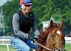 Animal Kingdom at Belmont Park<br><a target="blank" href="http://www.bloodhorse.com/horse-racing/photo-store?ref=http%3A%2F%2Fpictopia.com%2Fperl%2Fgal%3Fprovider_id%3D368%26ptp_photo_id%3D9558379%26ref%3Dstory">Order This Photo</a>