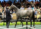 Hip #117, filly, Medaglia d'Oro - Wait a While, by Maria's Mon, brought $1.575 million at the Fasig-Tipton Saratoga select yearling sale.