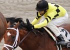 Nite Light is one of 2 entered by trainer Todd Pletcher in the Turfway Park Fall Championship Stakes.