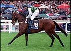 Miss Andretti achieved a season peak rating of 120 on the 2006-2007 ANZ Classifications.