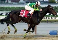 European Horses Sweep Top Two Spots in Muddy Long Island 'Cap European Horses Sweep Top Two Spots in Muddy Long Island 'Cap