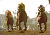 Composure Edges Elloluv in Las Virgenes Composure Edges Elloluv in Las Virgenes
