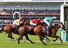 Wizz Kid Stops Mayson in Prix de l'Abbaye Wizz Kid Stops Mayson in Prix de l'Abbaye
