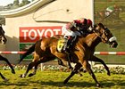 Gotta Have Her surges past Lethal Heat to win the Palomar Handicap.<br><a target="blank" href="http://www.bloodhorse.com/horse-racing/photo-store?ref=http%3A%2F%2Fpictopia.com%2Fperl%2Fgal%3Fprovider_id%3D368%26ptp_photo_id%3D8468643%26ref%3Dstory">Order This Photo</a>