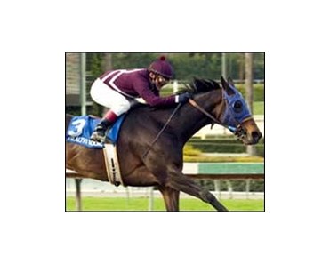 Healthy Addiction and Jon Court win the Santa Margarita Handicap.