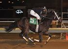 Marble Cliff coasts home at Mountaineer the evening of Feb. 28