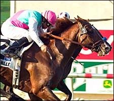 Three Valleys Scales Del Mar Breeders' Cup Three Valleys Scales Del Mar Breeders' Cup