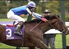 "Being realistic, I think it's going to very difficult, really," trainer Aidan O'Brien said of Johannesburg's chances of winning the Derby.