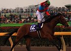 Transcend Popular Winner of February Stakes Transcend Popular Winner of February Stakes