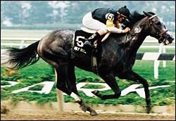 Hall of Fame: Holy Bull's Success Was 'Remarkable Story' Hall of Fame: Holy Bull's Success Was 'Remarkable Story'