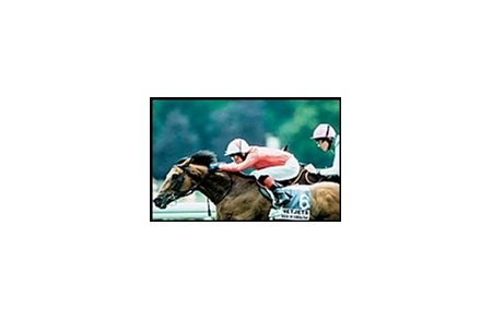 Rock of Gibraltar impressed with this victory in the Prix du Moulin.
