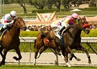 Compari is coming off a victory in the Arcadia Handicap.<br><a target="blank" href="http://www.bloodhorse.com/horse-racing/photo-store?ref=http%3A%2F%2Fpictopia.com%2Fperl%2Fgal%3Fprovider_id%3D368%26ptp_photo_id%3D8874166%26ref%3Dstory">Order This Photo</a>