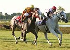 Revved Up holds off Soldier's Dancer for his third consecutive victory in the Bonnie Heath Turf Cup.
