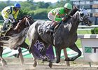 Dry Martini finishes strong in the Suburban.<br><a target="blank" href="http://www.bloodhorse.com/horse-racing/photo-store?ref=http%3A%2F%2Fpictopia.com%2Fperl%2Fgal%3Fprovider_id%3D368%26ptp_photo_id%3D8298603%26ref%3Dstory">Order This Photo</a>