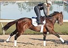 Preakness Profile: Racecar Rhapsody Preakness Profile: Racecar Rhapsody