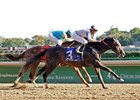 Court Vision looks to be the favorite in the Remsen.