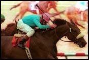 Del Mar Race Report: Hope Springs Forth Del Mar Race Report: Hope Springs Forth